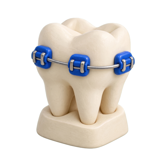 Orthodontist illustration in blue and ivory clay